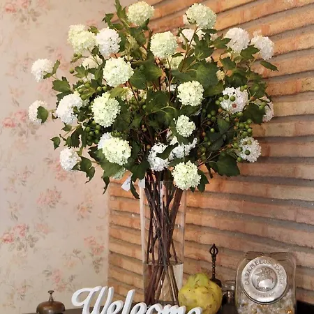 Santa Maria De 2* Alquézar