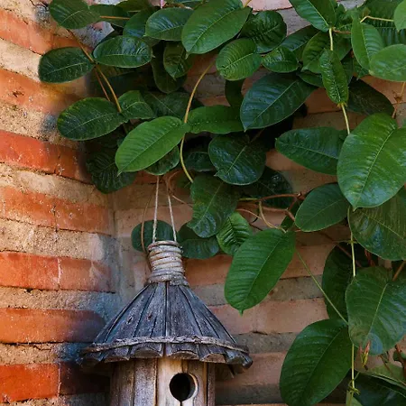 酒店 阿尔克萨尔圣玛丽亚酒店 2*