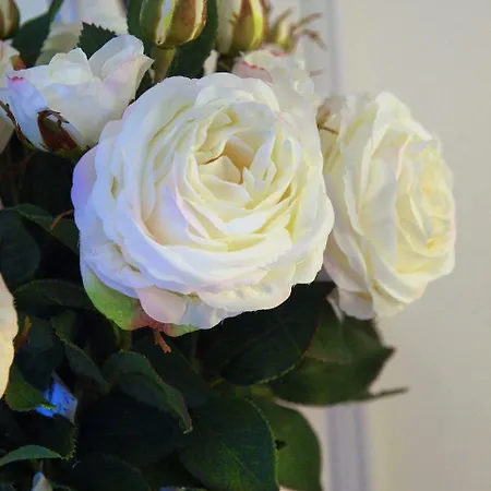 阿尔克萨尔圣玛丽亚酒店 酒店 阿尔克萨尔