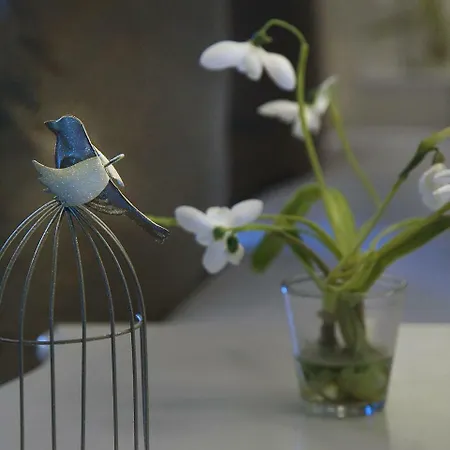 酒店 阿尔克萨尔圣玛丽亚酒店