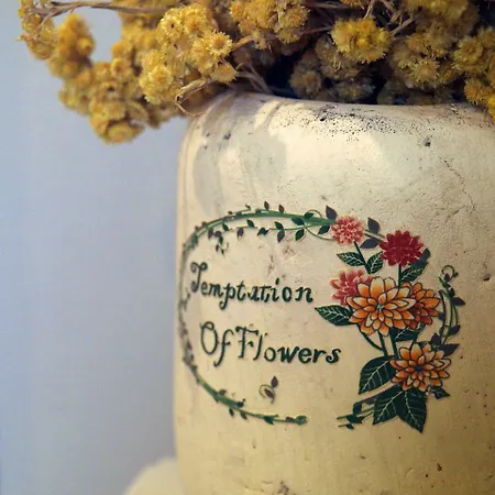 阿尔克萨尔圣玛丽亚酒店 酒店