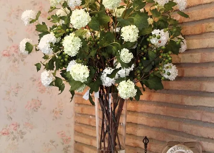 Santa Maria De 2* Alquézar