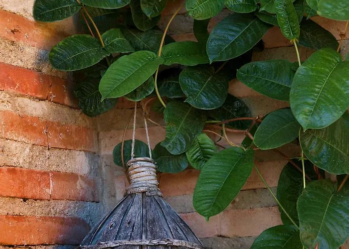 Hotel Santa Maria De 2*