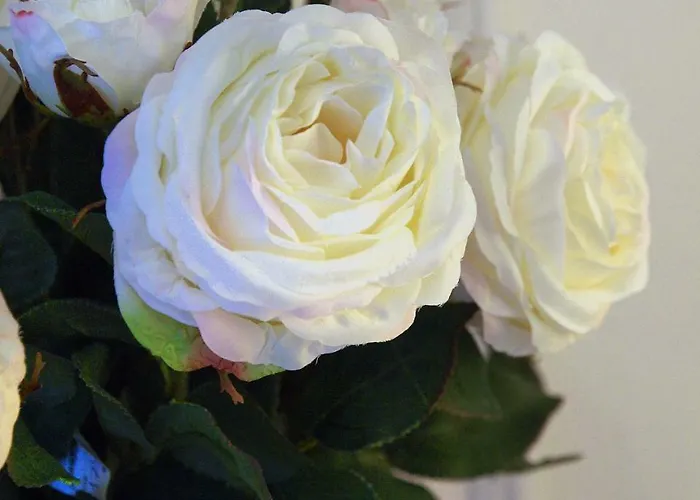 Santa Maria De Otel Alquézar